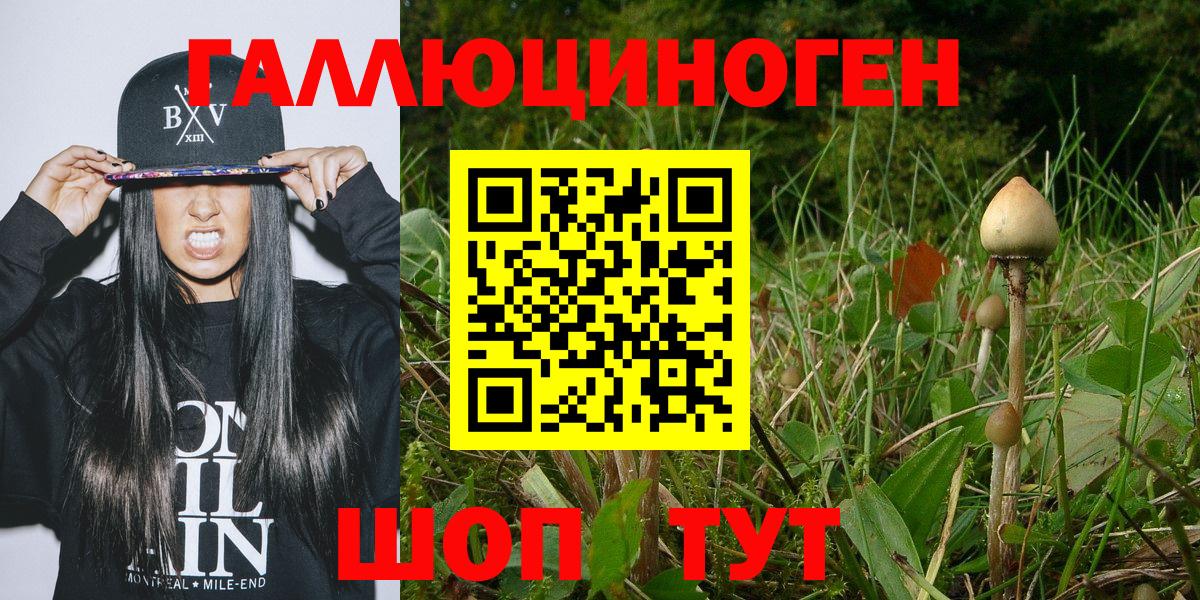 Галлюциногенные грибы Cubensis  Вход с VPN  Гудермес 